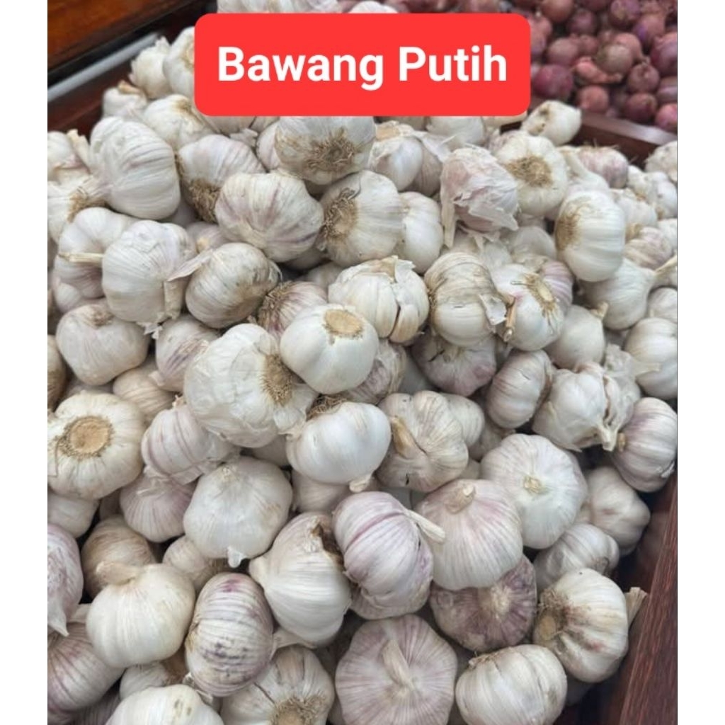 

Bawang Putih Amanah 1Kg