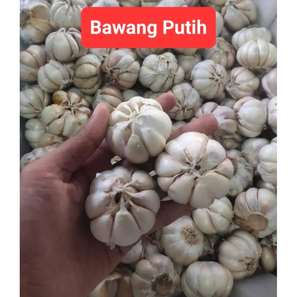 

Bawang Putih Super Isi 1Kg