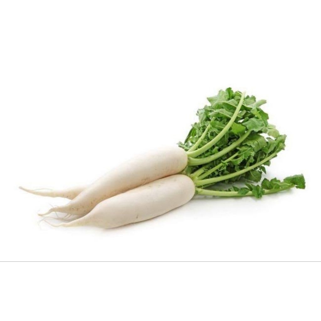 

Lobak Putih Fresh Segar Sayur