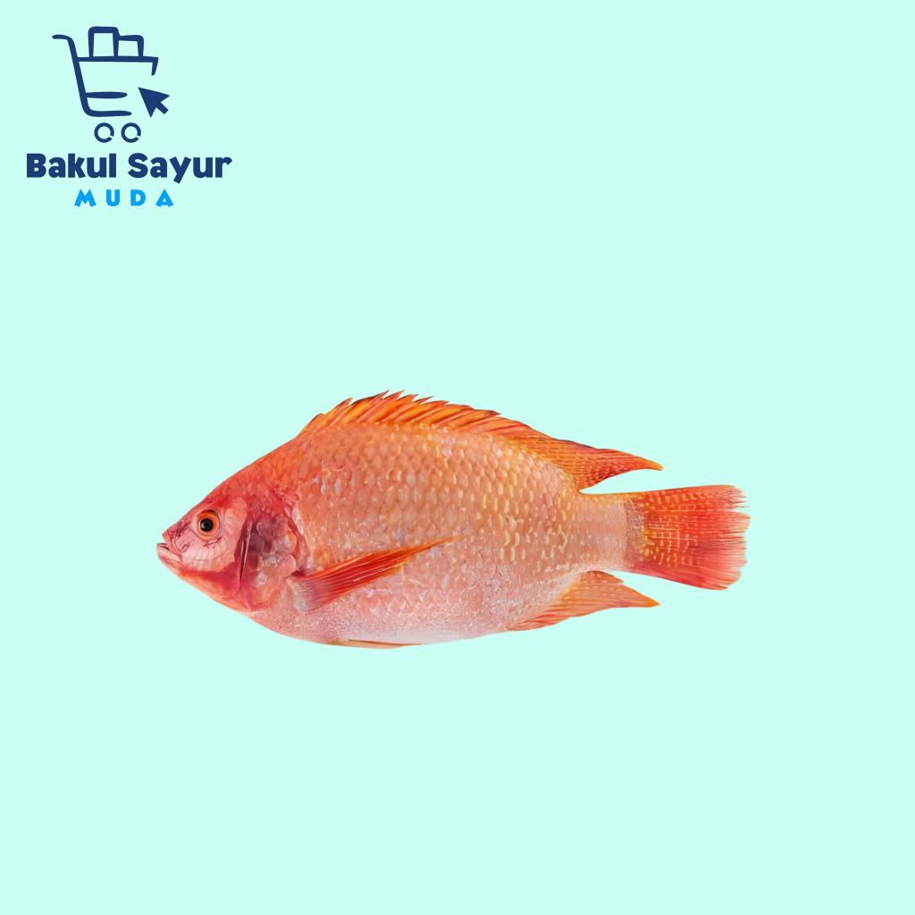 

Ikan Nila Segar 500 Gram