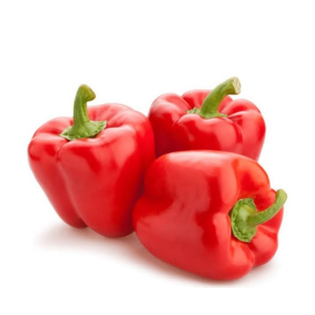 cabe paprika merah segar asli dari Lembang