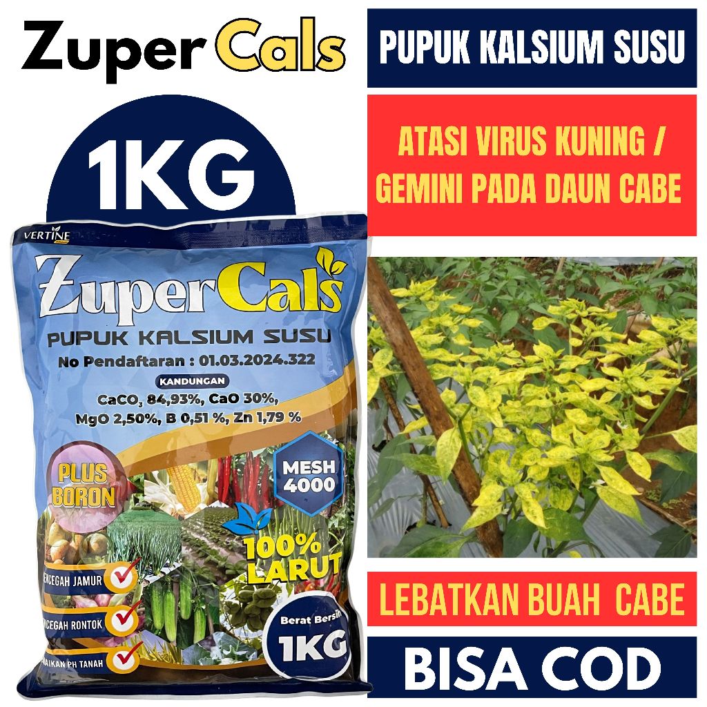 Zupercal Pupuk Kalsium 1kg | Atasi Virus Kuning Gemini pada Cabai | Daun Lebih Hijau & Kuat
