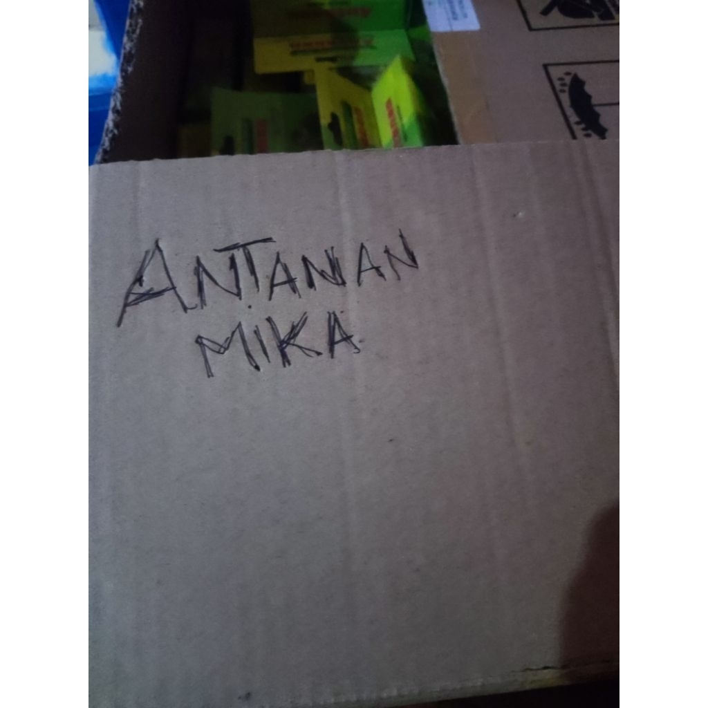 

1 DUS MIKA HERBALANTANANN