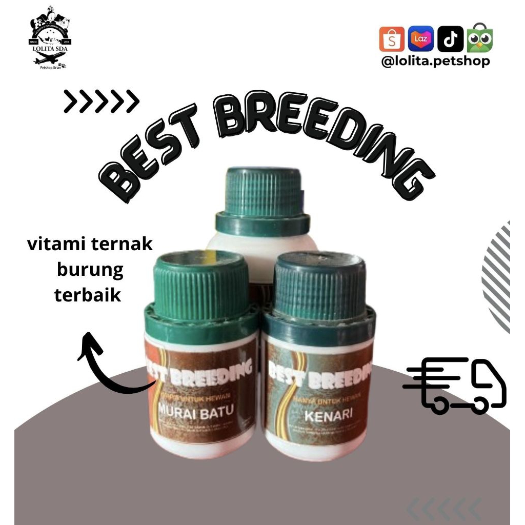 best breeding untuk murai batu