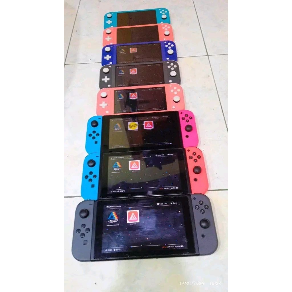 jasa cfw nintendo switch