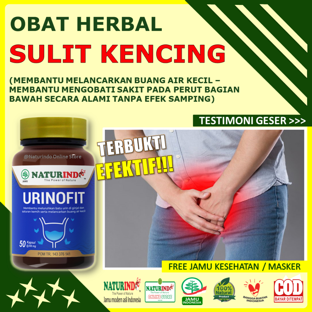 Obat Herbal Sulit Kencing Sakit Prostat Infeksi Saluran Kencing Anyang Anyangen Atasi Batu Ginjal Sa