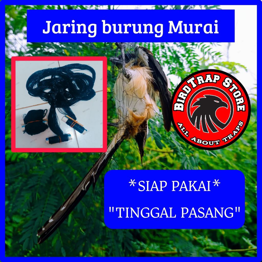 Jaring burung murai siap pakai panjang 5 meter, jebakan burung murai, perangkap burung murai, jala b