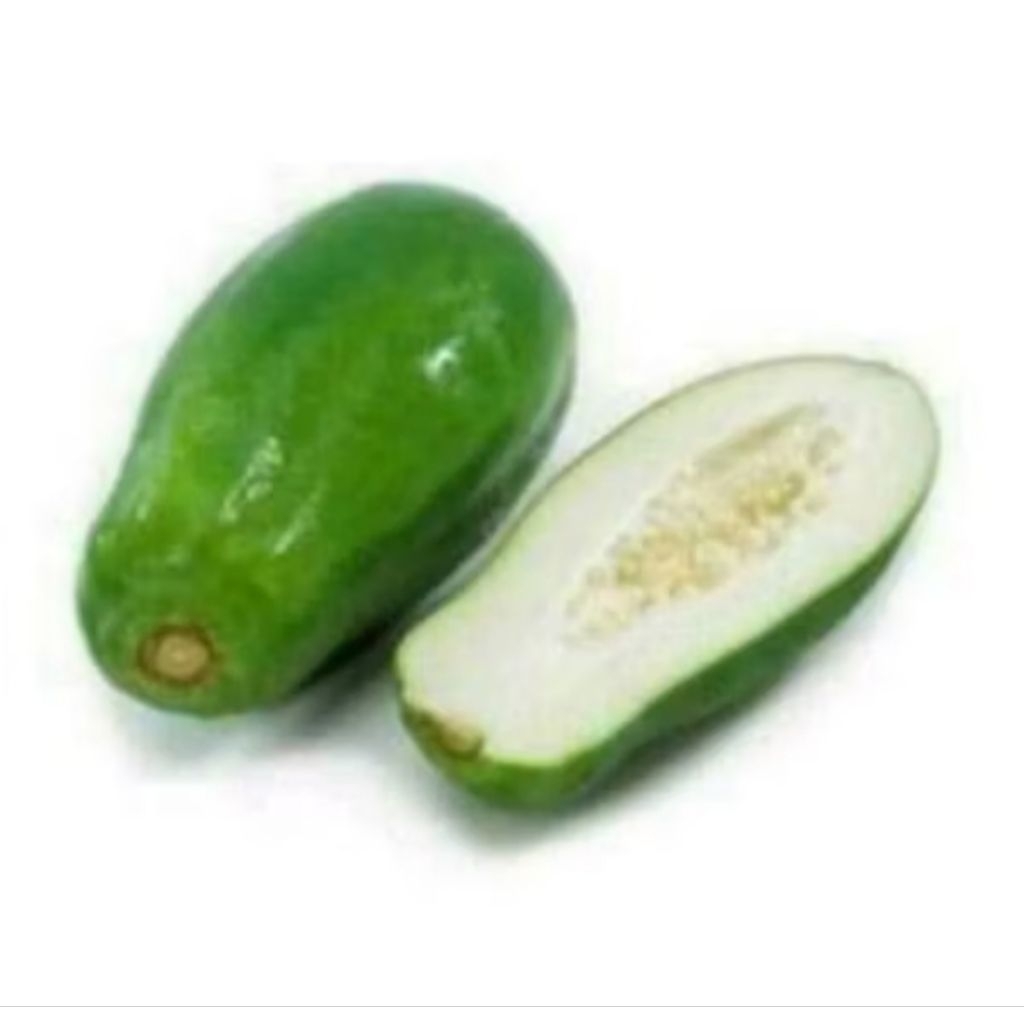 

Buah peyaya segar dan press baru di petik persatu buah