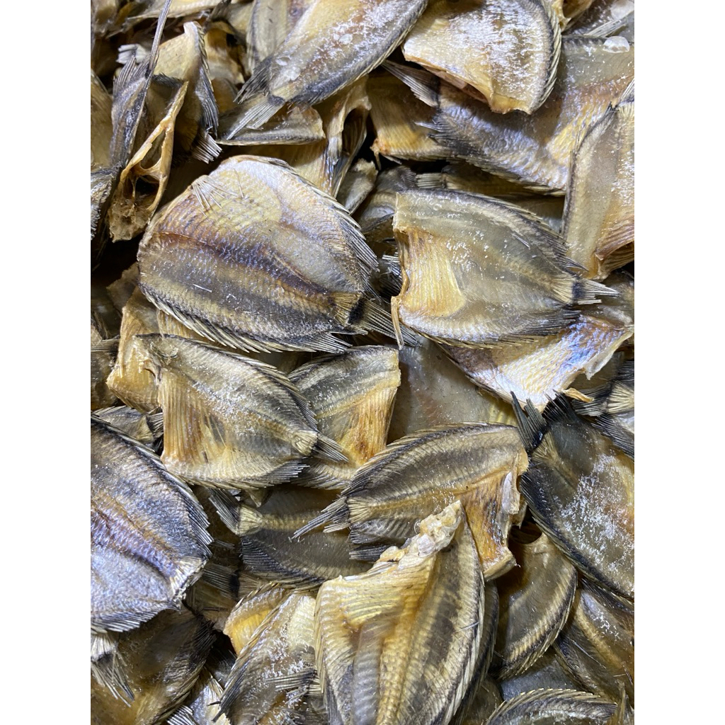 

Ikan Sepat Bulan Mini (Cinoliak)