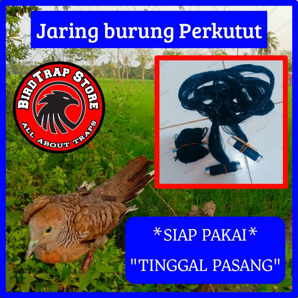 Jaring burung perkutut siap pakai panjang 5 meter, jebakan burung perkutut, perangkap burung perkutu
