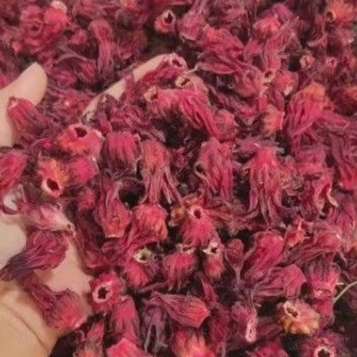 

Bunga Rosella Merah kering 1 kg kiloan/1000gram Rosela merah