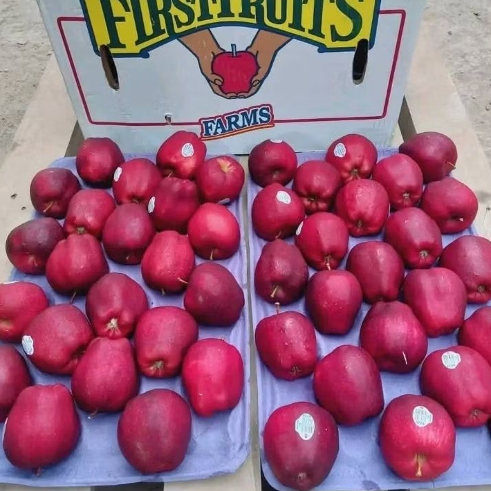 

APEL RED DELICIOUS 1 DUS 17kg