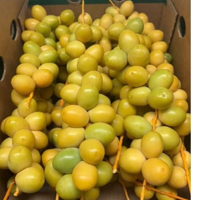 

Kurma muda segar /fresh bukan frozen