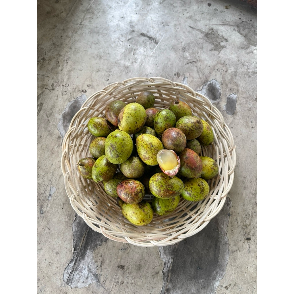 

buahfreshku - buah matoa 500 gram