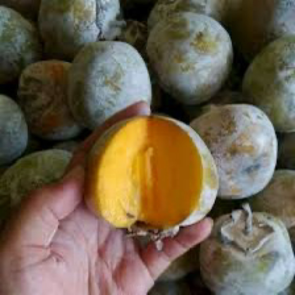 

INSTAN BUAH KESEMEK