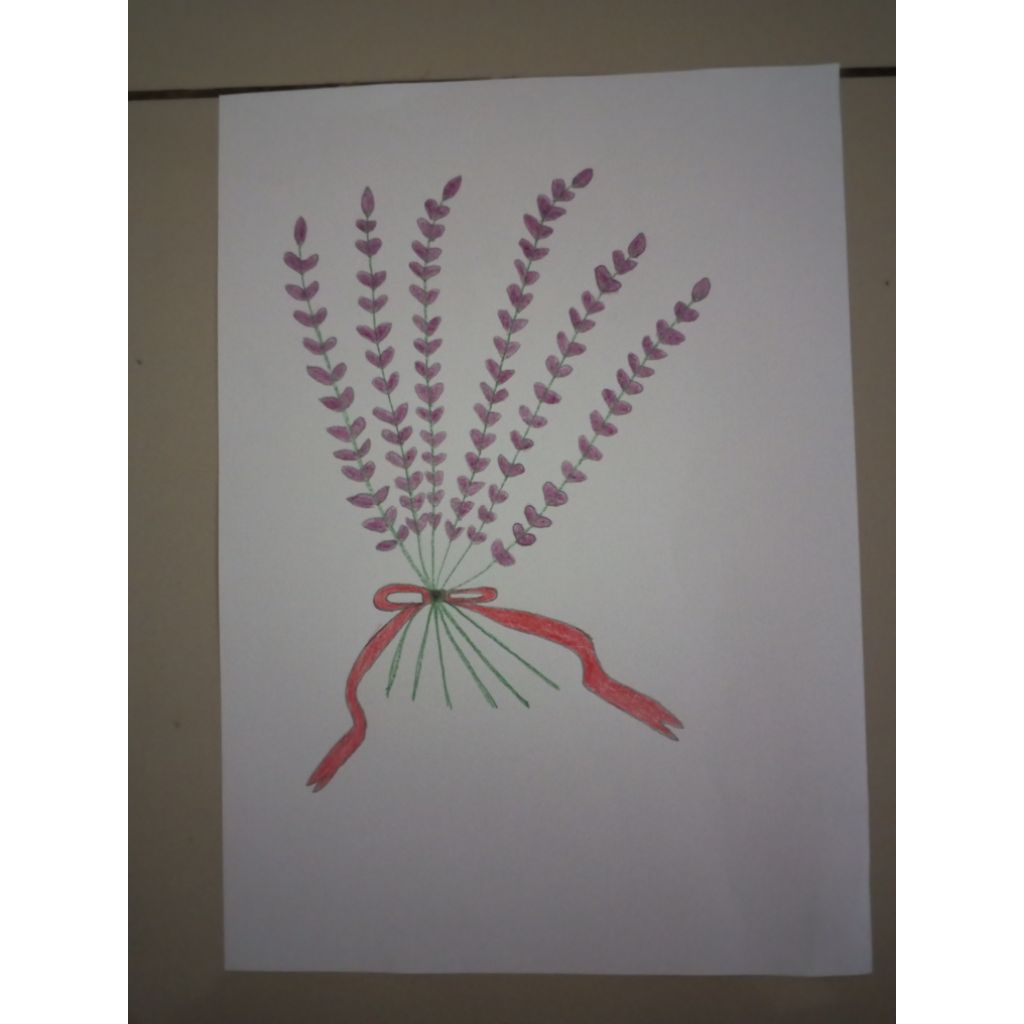 

Tanaman Bunga Lavender Ungu