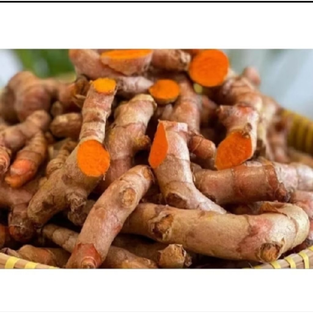 

kunyit segar super 500 gram