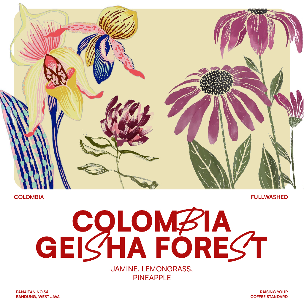 JACK RUNNERS ROASTERY - EXOTIC BEANS - COLOMBIA GEISHA FOREST - ROASTED BEANS COFFEE