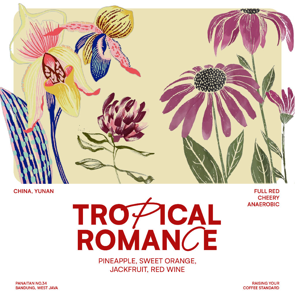 

JACK RUNNERS ROASTERY - EXOTIC BEANS - TROPICAL ROMANCE - ROASTED BEANS COFFEE