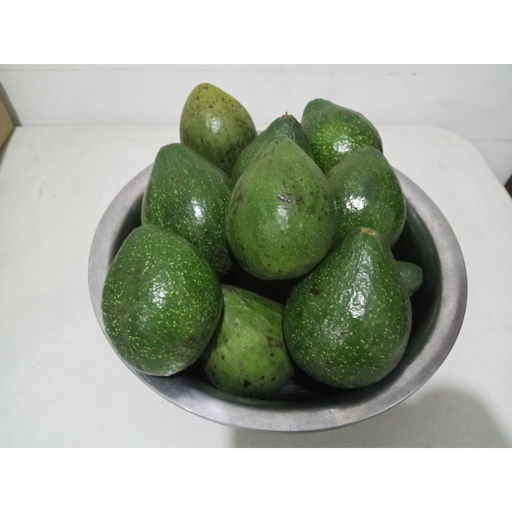 

Alpukat Mentega Padang Grade A & B