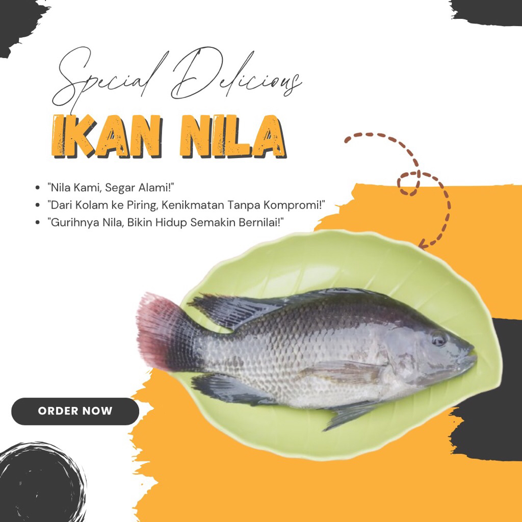 

Ikan Nila Segar Murah, Manis dan Gurih sekitaran Medan