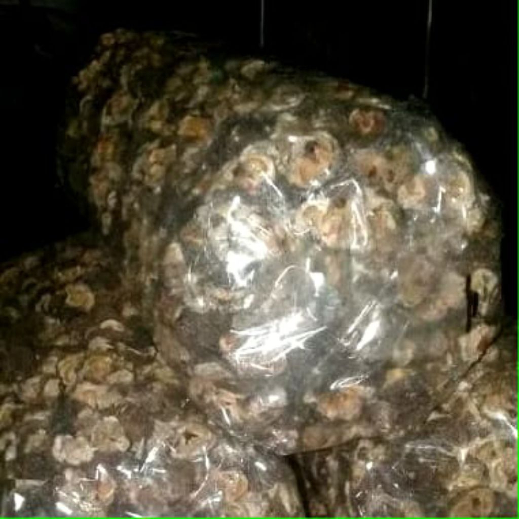 

buah malaka amla 500 gram