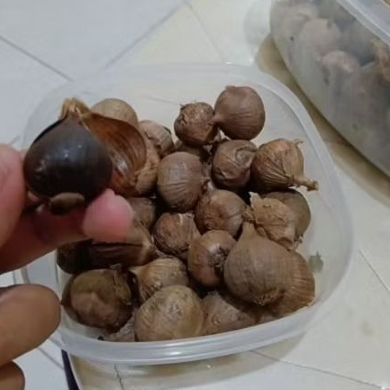 

Bawang Hitam Tunggal/ Black Garlic, Kemasan 250 gr/ 500 gr - Manis, Lezat, Sehat 100% Berkualitas