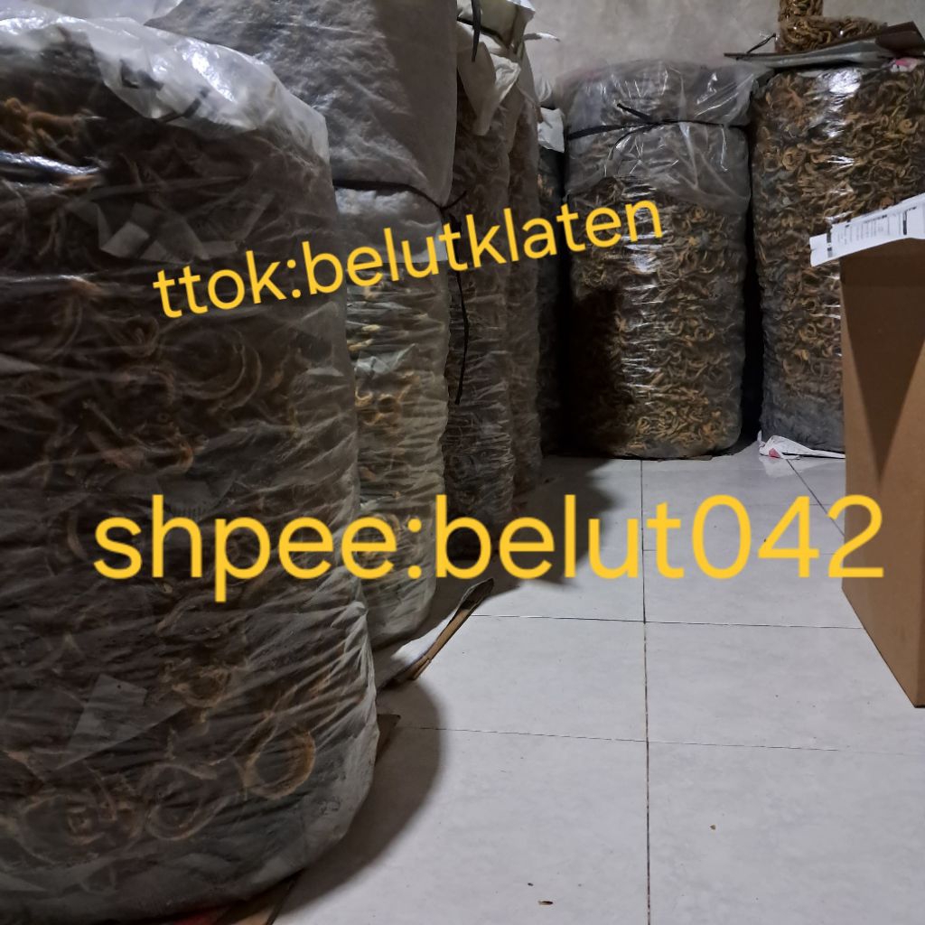 

kripik belut tepung tipis kemasan BANTAL 200gram,enak, renyah,gurih, bikin nagih
