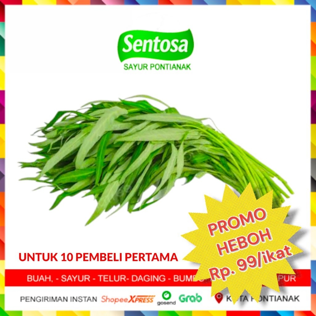 

Sayur Kangkung PROMO Rp. 99/ikat. HANYA UNTUK 10 PEMBELI PERTAMA Pengiriman Instan Khusus PONTIANAK