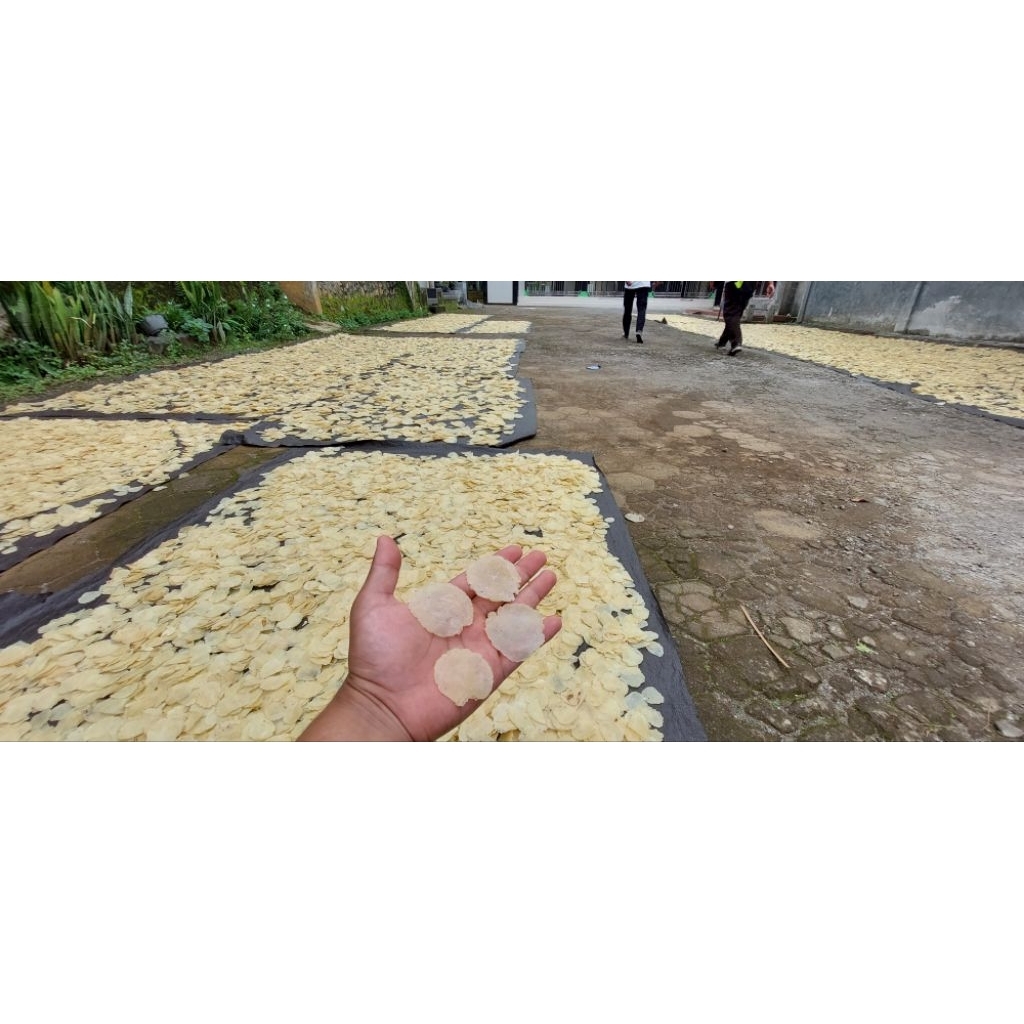 

EMPING MELINJO SP (KECIL) FULL KERING (daya simpan 12 bulan)