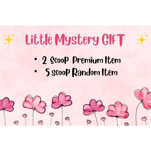 

LITTLE MYSTERY GIFT