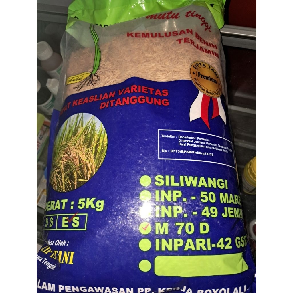 Benih Padi M70D genjah