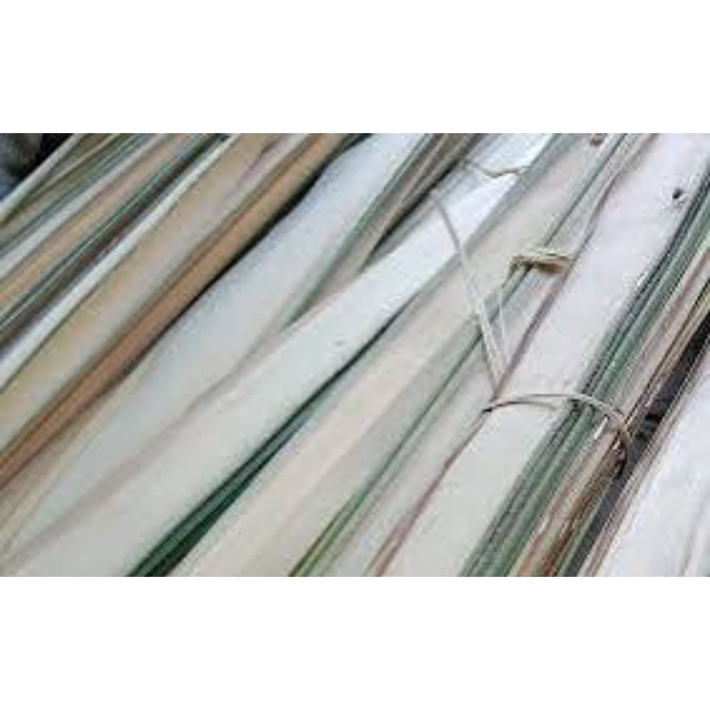 

daun aren muda isi 50 pcs tambah bonus bisa cod