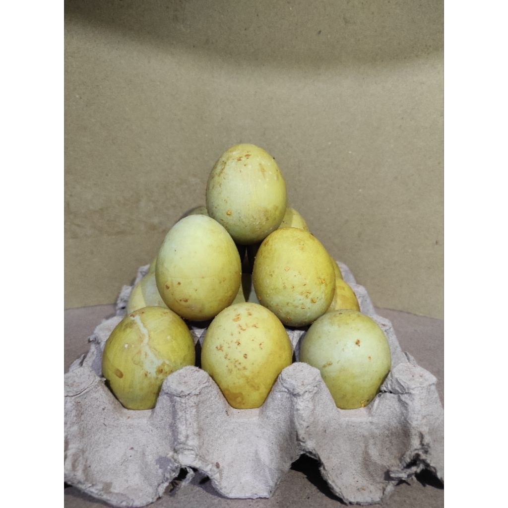 

Telor asin pindang/ telor asin Masir /bebas jumlah pembelian (harga untuk 1butir)