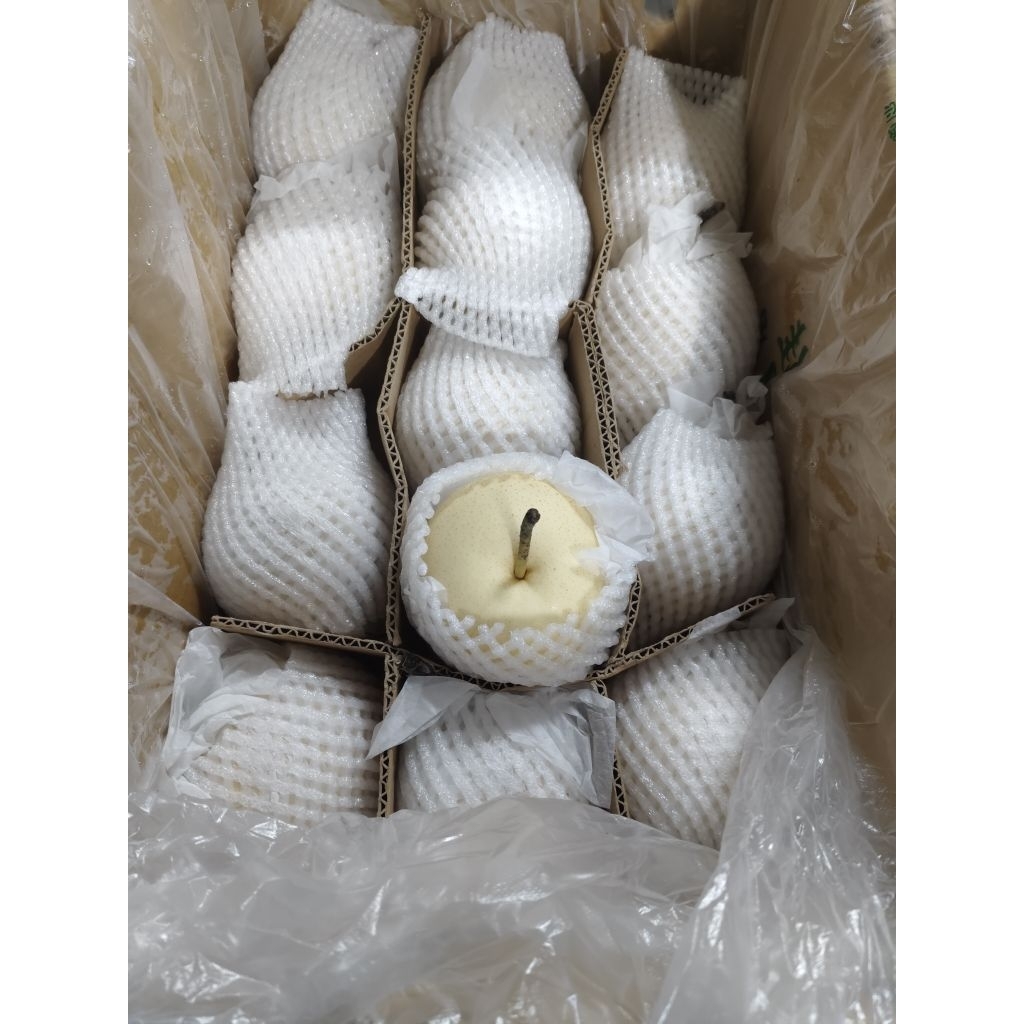 

Pear Century 1 kg lebih