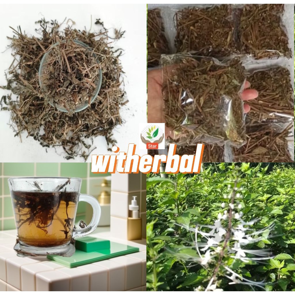 

Daun kumis kucing kering 100 grm