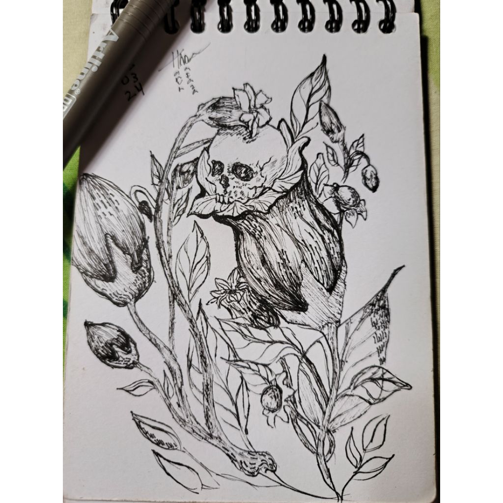 Gambar Sketsa Tengkorak Bunga, Sketsa Tengkorak di Atas Bunga