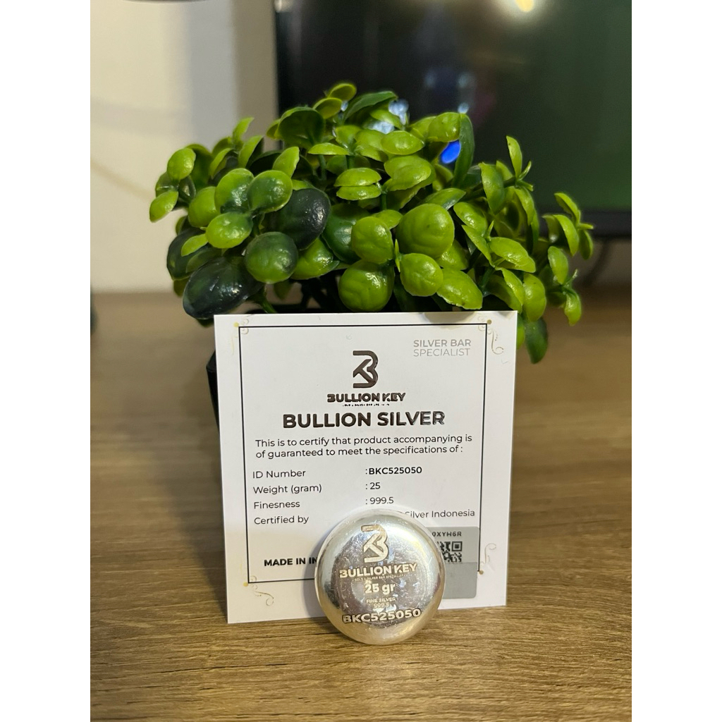 

Bullion Silver 25 gr