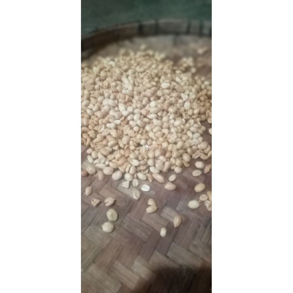 

kacang asin