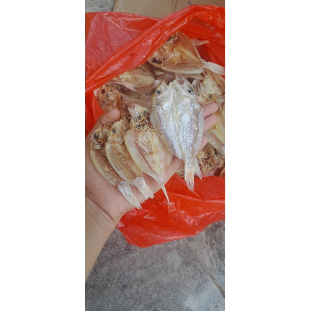 

ikan putihan belah(tawar)