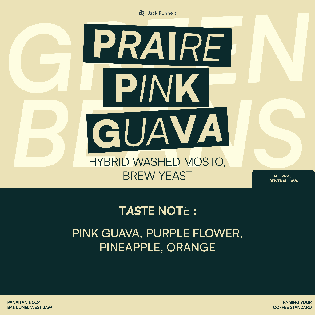 

JACK RUNNERS ROASTERY - PRAIRE PINK GUAVA - GREEN COFFEE BEANS