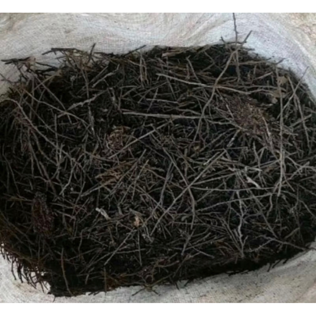 Akar Pakis Cacah Media Tanam 1kg
