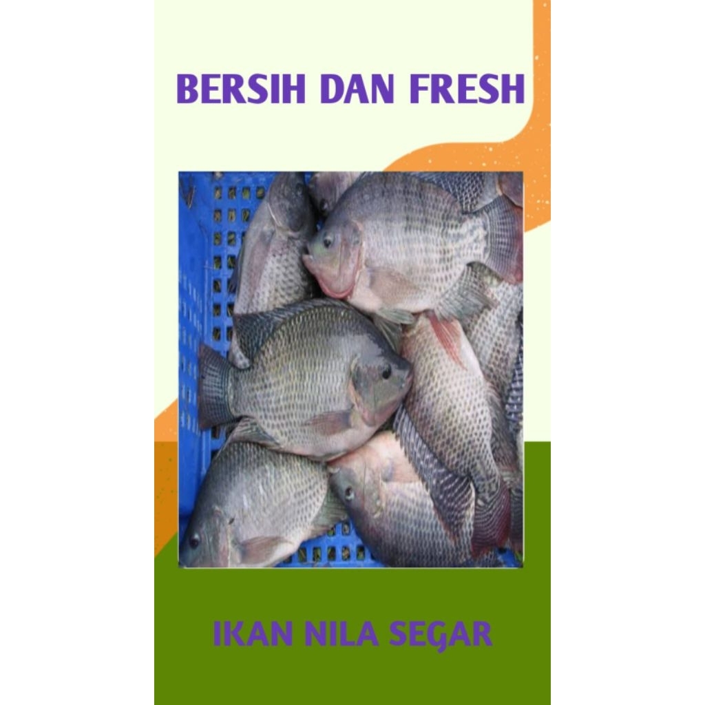 

IKAN NILA SEGAR DAN BERSIH - PALEMBANG