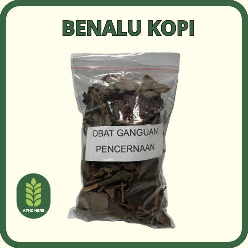 

Benalu Kopi untuk Gangguan Pencernaan Sembelit Herbal Tradisional Racikan Jawa