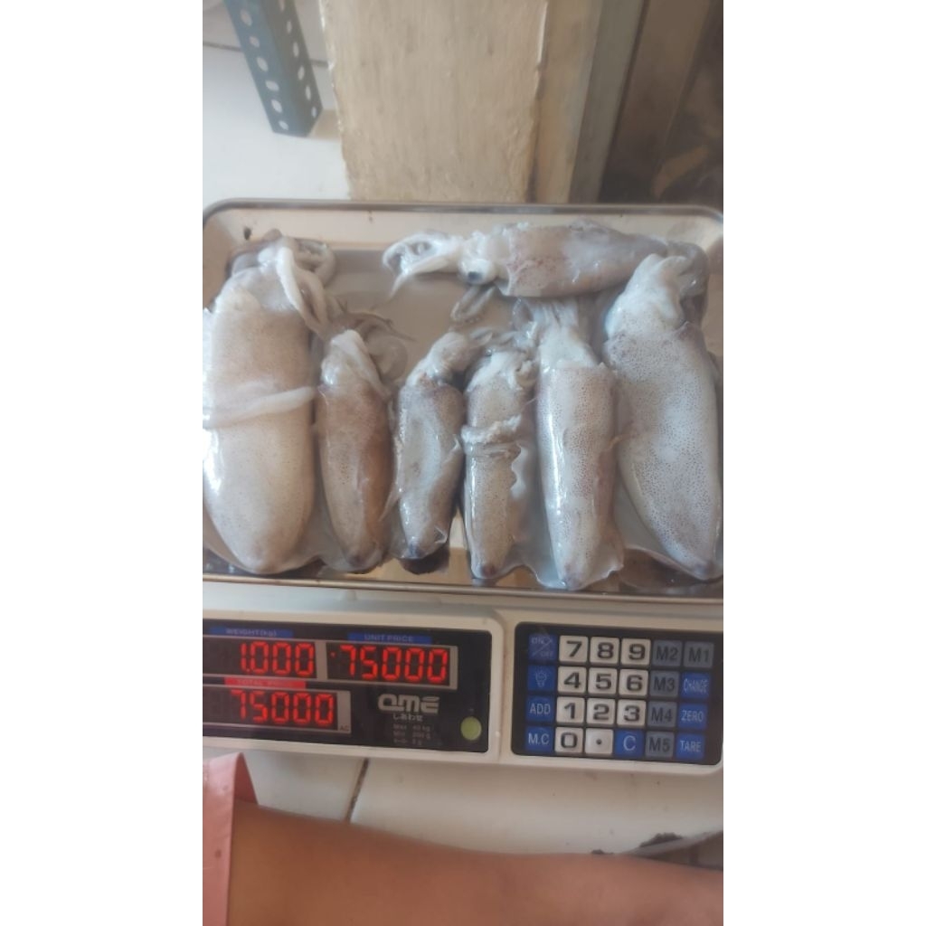 

Cumi Karang Fresh