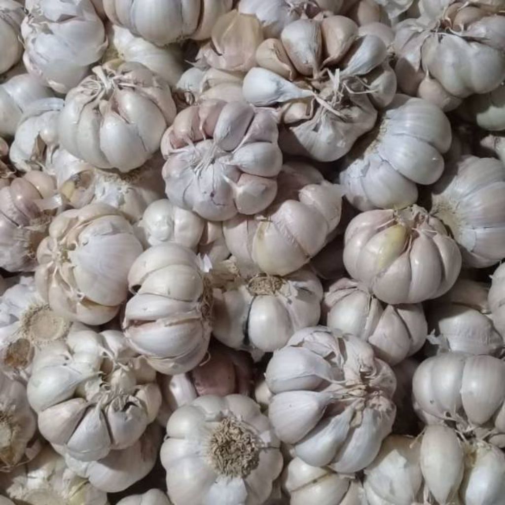 

Bawang Putih Super 1Kg