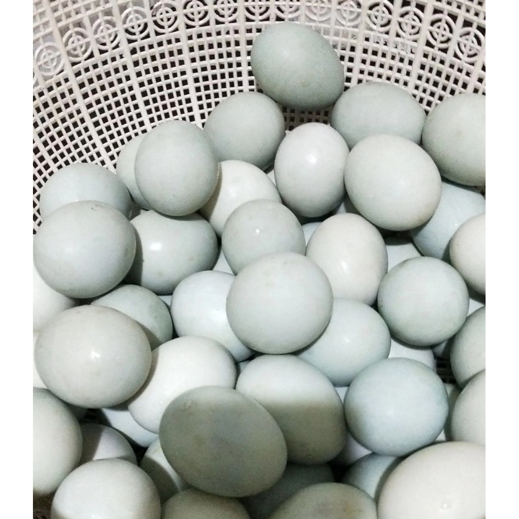 

Telor asin pilihan khas brebes/telor asin masir & berminyak