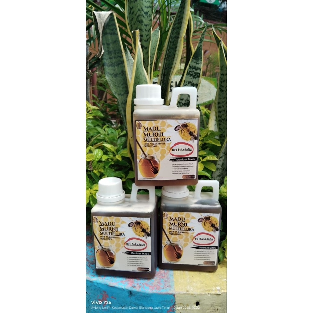 

Madu murni Multyflora