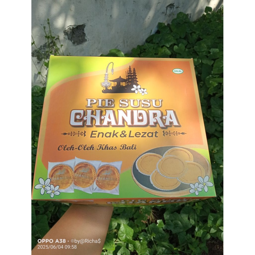 

pie susu Chandra Oleh-Oleh khas Bali 50 pcs