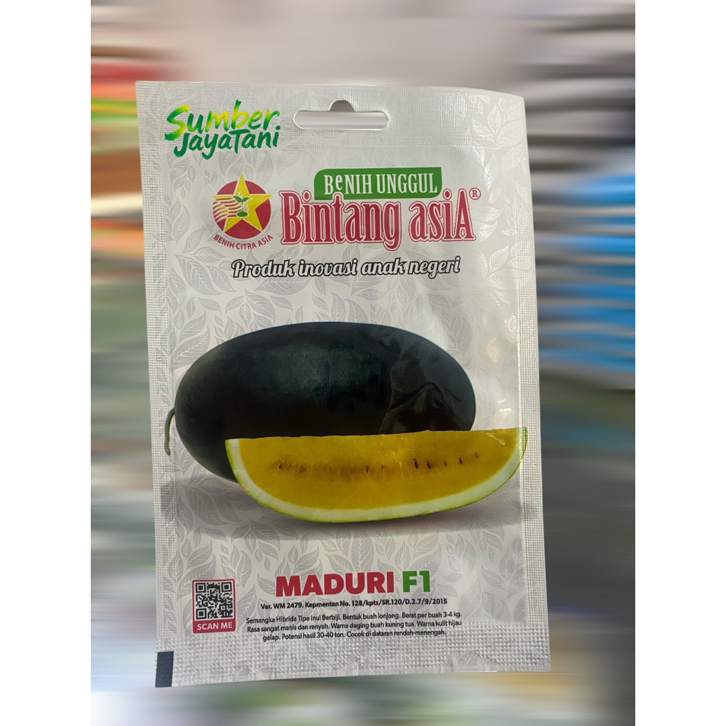 bibit semangka kuning maduri f1 bintang asia